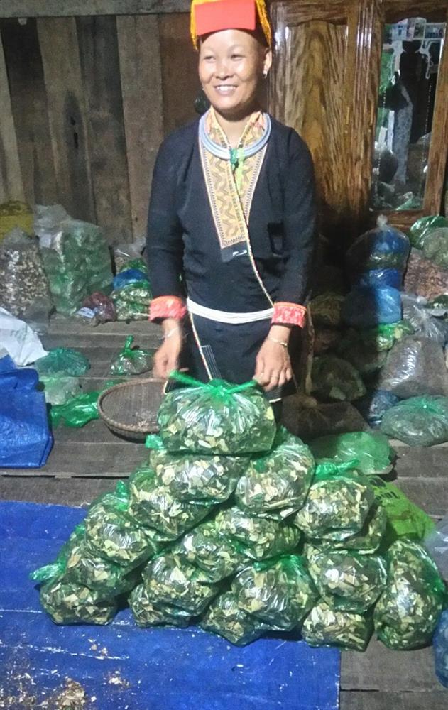 Lương y Triệu Thị Tiên và những bài thuốc gia truyền đặc trị các căn bệnh mãn tính ở Lạng Sơn